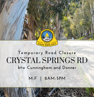 Image of trees along Crystal Springs Road with words stating temporary road closure