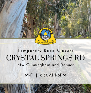 Image of trees along Crystal Springs Road and text